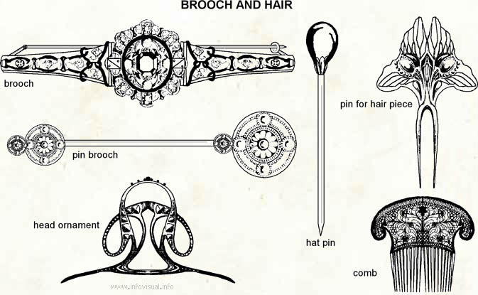 Brooch and hair  (Visual Dictionary)